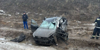 Полиция проверяет обстоятельства смертельного ДТП во Всеволожском районе Ленобласти - Петербургский дневник