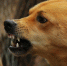Фото: Pixabay - Мой район