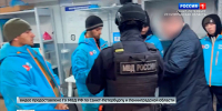 В службах курьерской доставки прошли масштабные проверки - ГТРК Санкт-Петербург