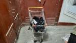 В Петербурге найденный с расчлененкой в продуктовой тележке пенсионер просидит в Крестах до конца весны