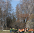 В Санкт-Петербурге 1 апреля начнется весенний месячник по благоустройству - Петербургский дневник