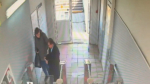 Скриншот видео ГУ МВД России по Петербургу и Ленобласти