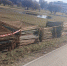 Фото: группа «Парк Академика Сахарова» - Мой район