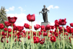 Фото: пресс-служба администрации Санкт-Петербурга