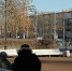 В Петербурге ожидается потепление до +12, но снега будет еще много - Neva.Today