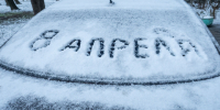 Фото: жителей Петербурга порадовал апрельский снег - Spbdnevnik.ru