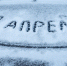 Фото: жителей Петербурга порадовал апрельский снег - Петербургский дневник