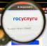 Общественники предложили проверять статус брака через «Госуслуги» - Spbdnevnik.ru