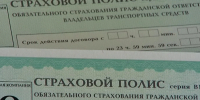 В Петербурге ликвидировали две преступные группы мошенников в сфере автострахования - tvspb.ru - ТК Санкт-Петербург