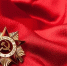 Больше тысячи волонтёров в Ленобласти заступили на трудовую вахту в честь 80‑летия Победы | ФОТО MiloVad on Shutterstock - С.-Петербургские ведомости