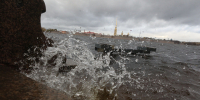 В Петербурге объявлен желтый уровень погодной опасности из-за сильного ветра - Spbdnevnik.ru