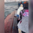Завершено расследование уголовного дела в отношении капитана маломерного судна, опрокинувшегося в акватории Баренцева моря - Западное следственное управление на транспорте