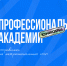 2081742 - Академия цифровых технологий