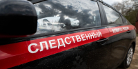 Бастрыкин поручил возбудить уголовное дело из-за избиения девушки в Петербурге - Комсомольская правда