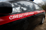 Бастрыкин поручил возбудить уголовное дело из-за избиения девушки в Петербурге