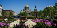 Петербург украсят деревьями в горшках и цветами за 115 млн: сумма не окончательная - Neva.Today