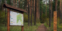 В Ленобласти планируют открыть новые экомаршруты в этом году - Петербургский дневник