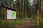 В Ленобласти планируют открыть новые экомаршруты в этом году