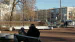 В Петербурге 23 апреля похолодает до +10 градусов и пройдут дожди
