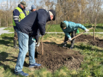 У мемориала «Ополченцы» в Пушкине дали старт общегородскому субботнику.