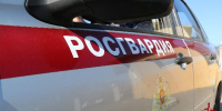 В Гатчинском районе сотрудники Росгвардии и полиции задержали правонарушителя, совершившего кражу из автомобиля - Росгвардия