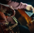 В Петербурге пройдёт фестиваль музыки «Ленинградская музыкальная весна-2025» с 4 по 28 мая | ФОТО Rob Simmons on Unsplash - С.-Петербургские ведомости