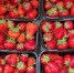 Врач Милушкина: за сезон нужно съесть около десяти килограммов клубники - Spbdnevnik.ru