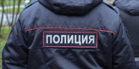 Укравшая у своего работодателя 25 млн домработница задержана полицией Петербурга - Spbdnevnik.ru