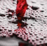 Фото: Pixabay - Мой район