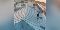 Росгвардейцы сняли руфера с крыши Кунсткамеры - Комсомольская правда