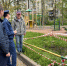 В городе Тельмана обвалился земляной покров: прокуратура начала проверку - Spbdnevnik.ru