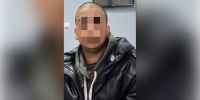 Устроившего в Ленобласти смертельное ДТП со скутером и лосем мигранта задержали после пряток в лесу - Neva.Today