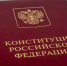 Петр Толстой допустил новые изменения в Конституцию России, назвав действующую «пластмассовой веткой» - Spbdnevnik.ru