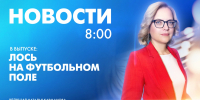 Новости Петербурга к 8:00 - tvspb.ru - ТК Санкт-Петербург