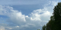 С петербуржцев взыскали более 249 млн рублей за ущерб природе - Neva.Today