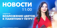 Новости Петербурга к 11:00 - tvspb.ru - ТК Санкт-Петербург