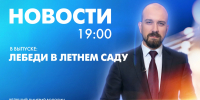 Новости Петербурга к 19:00 - tvspb.ru - ТК Санкт-Петербург