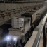 Видео: петербуржцам показали работу «котопса» в метро - Spbdnevnik.ru