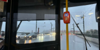 Петербуржцы отправятся в Геленджик и Симферополь на автобусах - Санкт-Петербург.ру