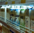 В Петербурге уничтожат 400 кг опасных продуктов - Санкт-Петербург.ру