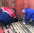 Осужденные ИЦ-1 помогли обустроить приют для животных «Подари дом» - УФСИН России