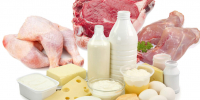 Из петербургских магазинов изъяли свыше трехсот килограммов опасных продуктов - Peterburg-News.Ru