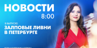 Новости Петербурга к 8:00 - tvspb.ru - ТК Санкт-Петербург