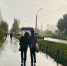 В Петербурге до ночи задержатся дожди - Санкт-Петербург.ру