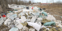 Более 20 несанкционированных свалок ликвидировали в Петербурге за май-июнь - Spbdnevnik.ru