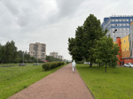 Каждому району — по общественному пространству: как Петербург становится комфортнее для жителей