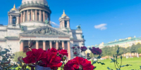 Тепло и солнечно: в День России температура в Петербурге порадует +20 градусами - Neva.Today