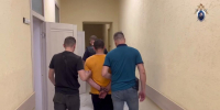Фото: ГСУ СК РФ по Петербургу - Мой район