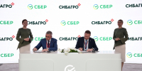 Фото пресс-службы Сибирского банка Сбербанка - НИА Санкт-Петербург