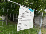 Петербуржцы выбрали новый облик своего города
